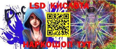 сатива Коммунар