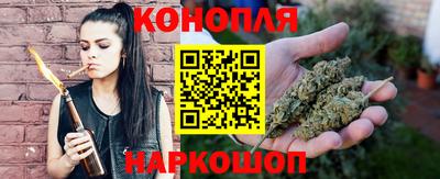 сатива Коммунар