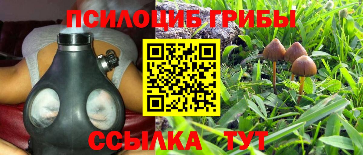Галлюциногенные грибы прущие грибы Камышин