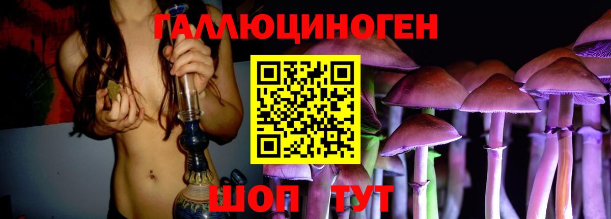 Камышин  Псилоцибиновые грибы ЛСД  Вход с VPN 